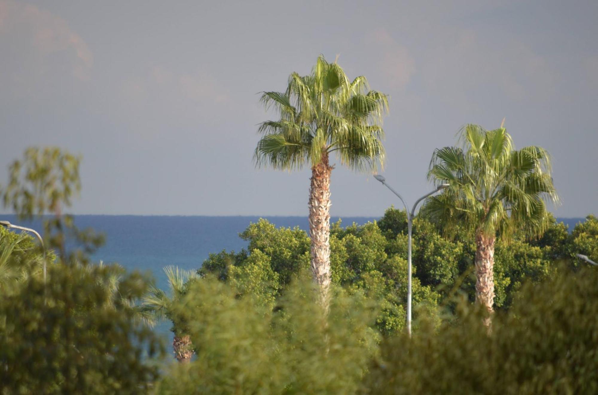 Modern Apartment Near Mckenzie Beach Larnaca Luaran gambar